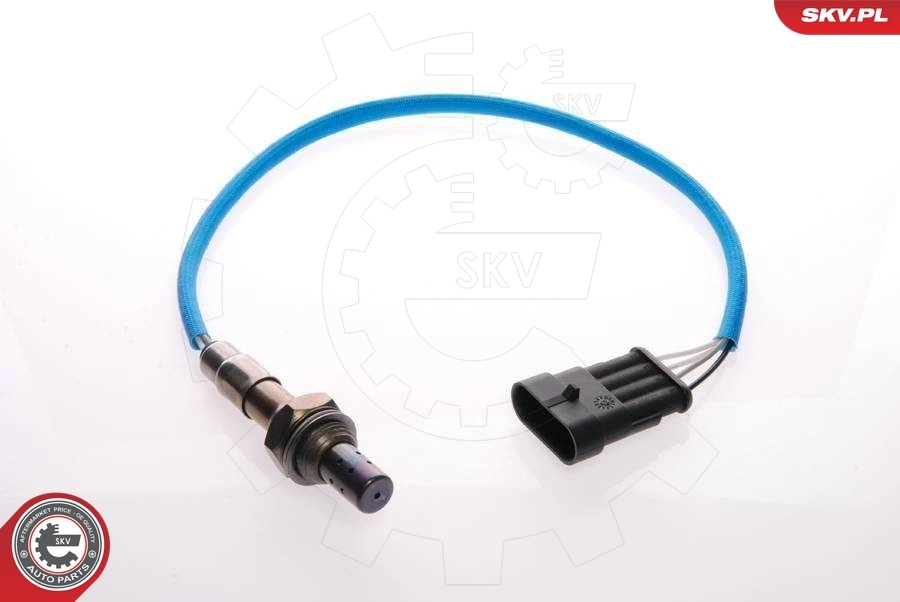 Oxygen Sensor